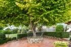 Property 7 Kimberly Court, Trevallyn TAS 7250 IMAGE 0