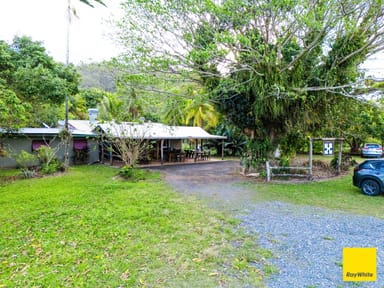 Property 2539 Mossman Daintree Road, Lower Daintree QLD 4873 IMAGE 0