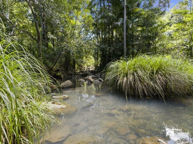 Property 462 Byrrill Creek Road, Byrrill Creek NSW 2484 IMAGE 0