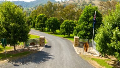 Property 4099 River Road, JINGELLIC NSW 2642 IMAGE 0