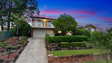 Property 231 Eagleview Road, MINTO NSW 2566 IMAGE 0