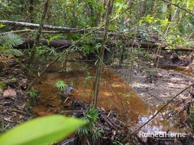 Property Lot 246 White Beech Road, Cow Bay QLD 4873 IMAGE 0