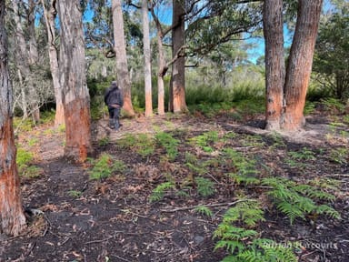 Property . South Gippsland Highway, Woodside VIC 3874 IMAGE 0