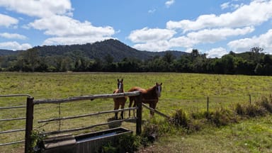 Property 215 East Funnel Creek, SARINA RANGE QLD 4737 IMAGE 0