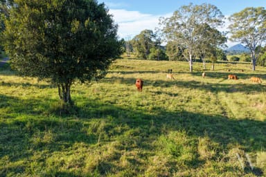 Property 29 Musavale Road, Eerwah Vale QLD 4562 IMAGE 0