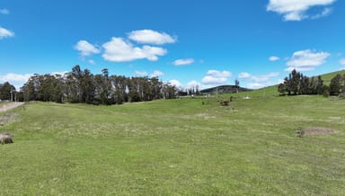 Property Lot 3 Storys Road, Lebrina TAS 7254 IMAGE 0