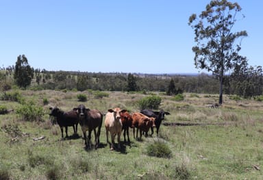 Property 1377 Dangore Mountain Road, Dangore QLD 4610 IMAGE 0