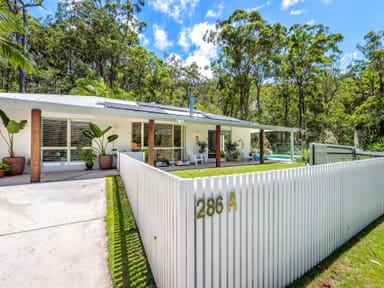 Property 286A Trees, Tallebudgera QLD 4228 IMAGE 0