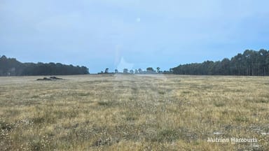 Property Lot 657 South Coast Highway, GIBSON WA 6448 IMAGE 0