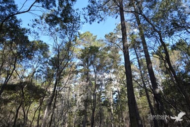 Property 121, Reserve Road, Sugarloaf QLD 4380 IMAGE 0