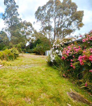 Property 12 Camp Road, WARATAH TAS 7321 IMAGE 0