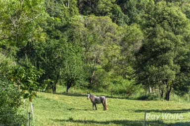 Property 65 Porters Road, Upper Crystal Creek NSW 2484 IMAGE 0