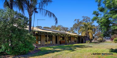 Property 411 Walshs Road, MIEPOLL VIC 3666 IMAGE 0