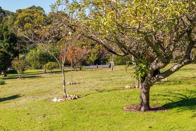 Property 28 Wonboyn Road, WONBOYN Via, Eden NSW 2551 IMAGE 0