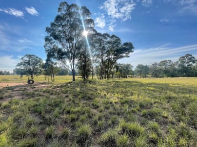 Property Lot 101 Kingsley Road, EUMUNGERIE NSW 2822 IMAGE 0