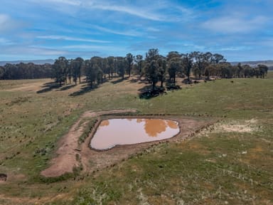 Property Eleven Mile Creek Road, GLENROWAN WEST VIC 3675 IMAGE 0