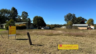 Property 58 Farnell Street, Mendooran NSW 2842 IMAGE 0