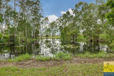 Property 230 Schilling Lane, River Ranch QLD 4680 IMAGE 0
