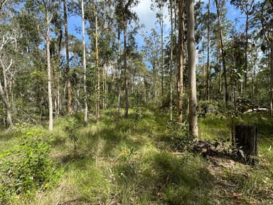 Property Lot 23 Eight Mile Lane, Glenugie NSW 2460 IMAGE 0