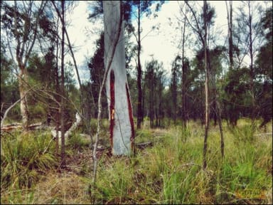 Property WATTLE RIDGE QLD 4357 IMAGE 0