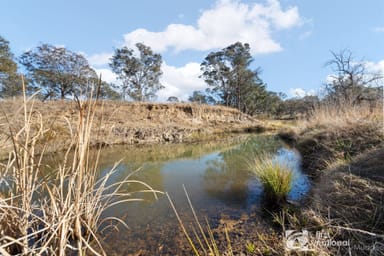 Property 173 McMurrays Lane, Windeyer NSW 2850 IMAGE 0