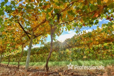Property Lot 2/ Myall Street, Cardross VIC 3496 IMAGE 0