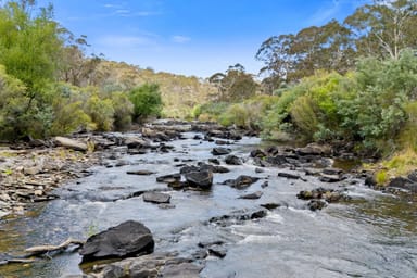 Property 1591 Urila Road, Tinderry NSW 2620 IMAGE 0