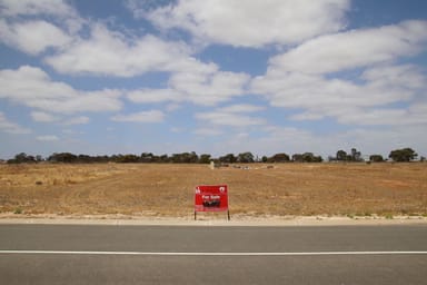 Property Allotment 36 Big Olive Grove, TAILEM BEND SA 5260 IMAGE 0