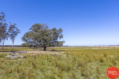 Property 908A Clarence Town Road, Seaham NSW 2324 IMAGE 0