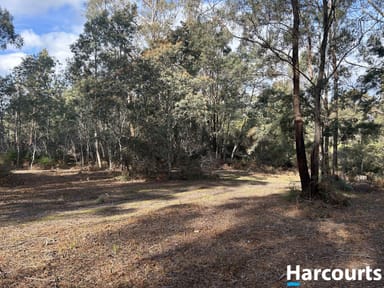 Property 2, 23 Possum Road, BEACONSFIELD TAS 7270 IMAGE 0