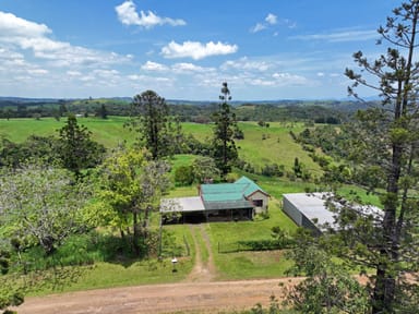 Property 659 Middlebrook Road, Millaa Millaa QLD 4886 IMAGE 0