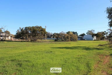 Property 74 Pioneer Street, Manangatang VIC 3546 IMAGE 0