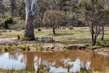 Property 856 Hungry Flats Road, COLEBROOK TAS 7027 IMAGE 0