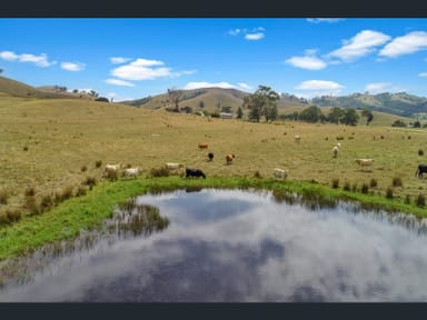 Property 547 DRY CREEK ROAD, BONNIE DOON VIC 3720 IMAGE 0