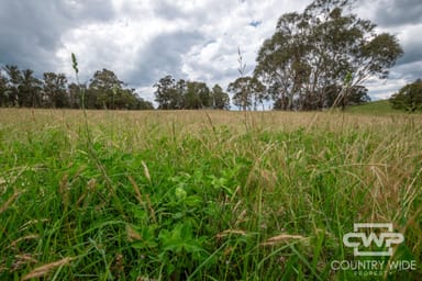 Property 1, - Watsons Road, PINKETT NSW 2370 IMAGE 0