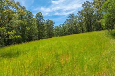 Property 384 Eastern Boundary Road, ROLLANDS PLAINS NSW 2441 IMAGE 0