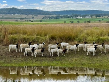 Property 735 Hendon Mount Marshall Road, Mount Marshall QLD 4064 IMAGE 0