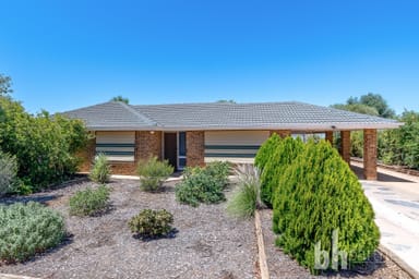 Property 35 Eringa Avenue, LOXTON SA 5333 IMAGE 0