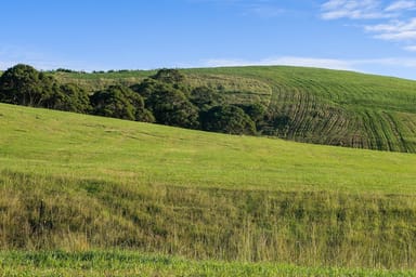 Property 1433 Jamberoo Road, Croom NSW 2527 IMAGE 0