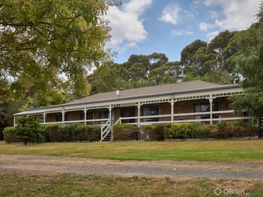 Property 81 Alcorn Road, Labertouche VIC 3816 IMAGE 0