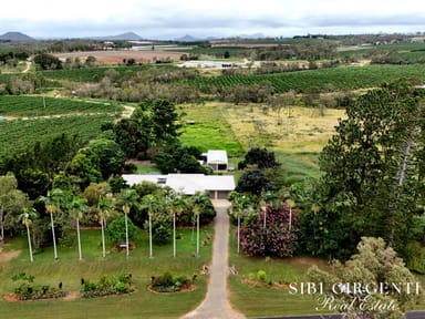 Property 599 Springs Road, Paddys Green QLD 4880 IMAGE 0