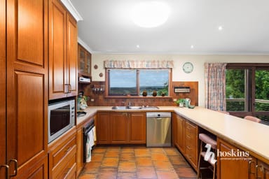 Property 11 Montanus Court, Ringwood VIC 3134 IMAGE 0