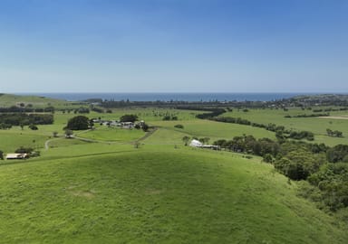 Property Lot 3001- Hill Block Rose Valley Road, ROSE VALLEY NSW 2534 IMAGE 0