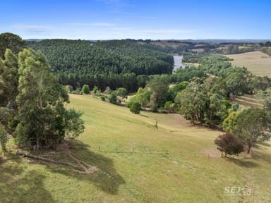 Property 325 One Chain Road, KARDELLA VIC 3951 IMAGE 0
