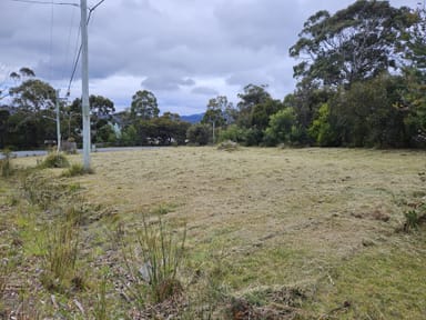 Property Lot 1 Cnr White Beach Rd & Skeggs Ave, WHITE BEACH TAS 7184 IMAGE 0