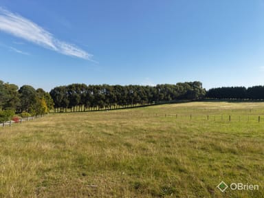 Property 30 Peart Road, Ellaswood VIC 3875 IMAGE 0