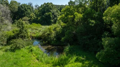 Property VALERY NSW 2454 IMAGE 0