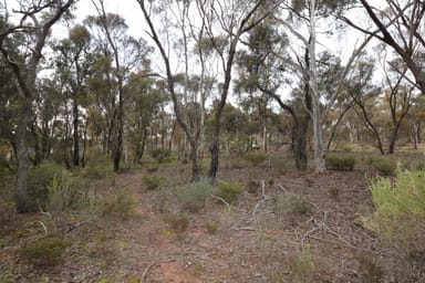 Property 11, Canning Street, Tarnagulla VIC 3551 IMAGE 0