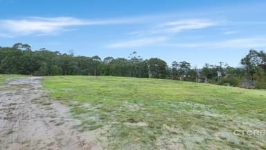 Property 181 Tamboon Road, Cann River VIC 3890 IMAGE 0