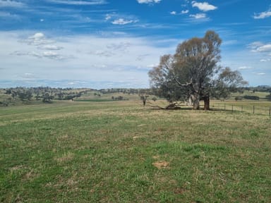 Property 3 Cooney's Creek Road, Jugiong NSW 2726 IMAGE 0